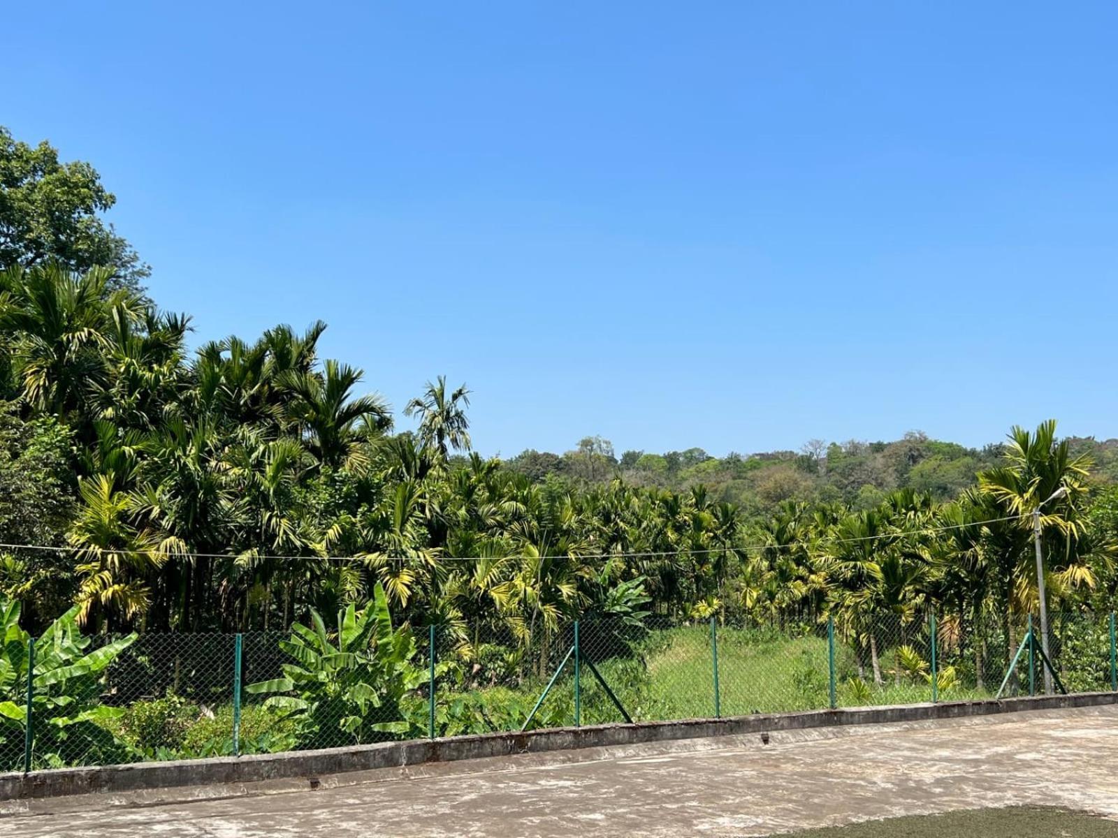 Emerald Castle Villa Madikeri Exterior photo